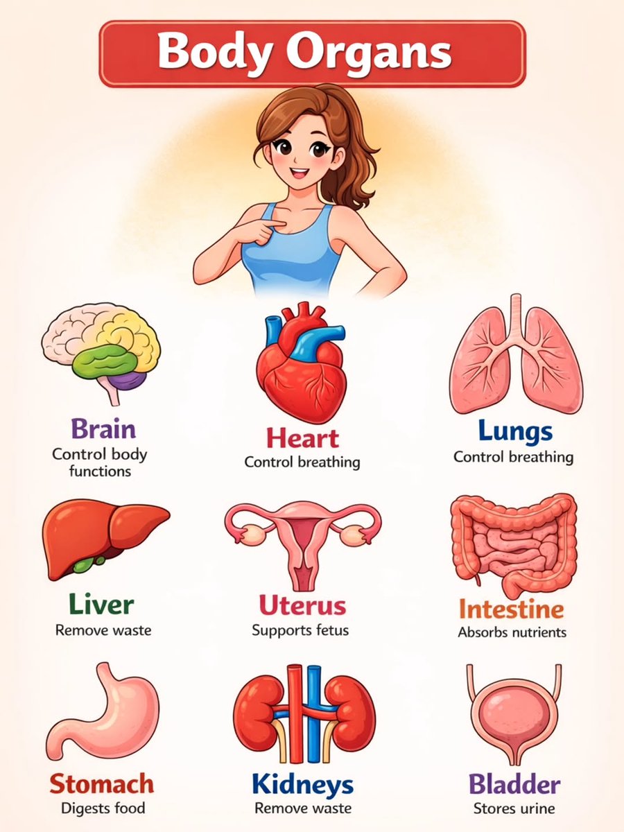 English Language Club tweet media