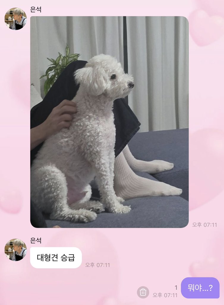 뇌세척 tweet media