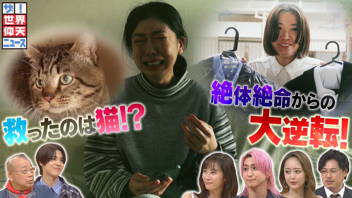 ザ！世界仰天ニュース【公式】 tweet media