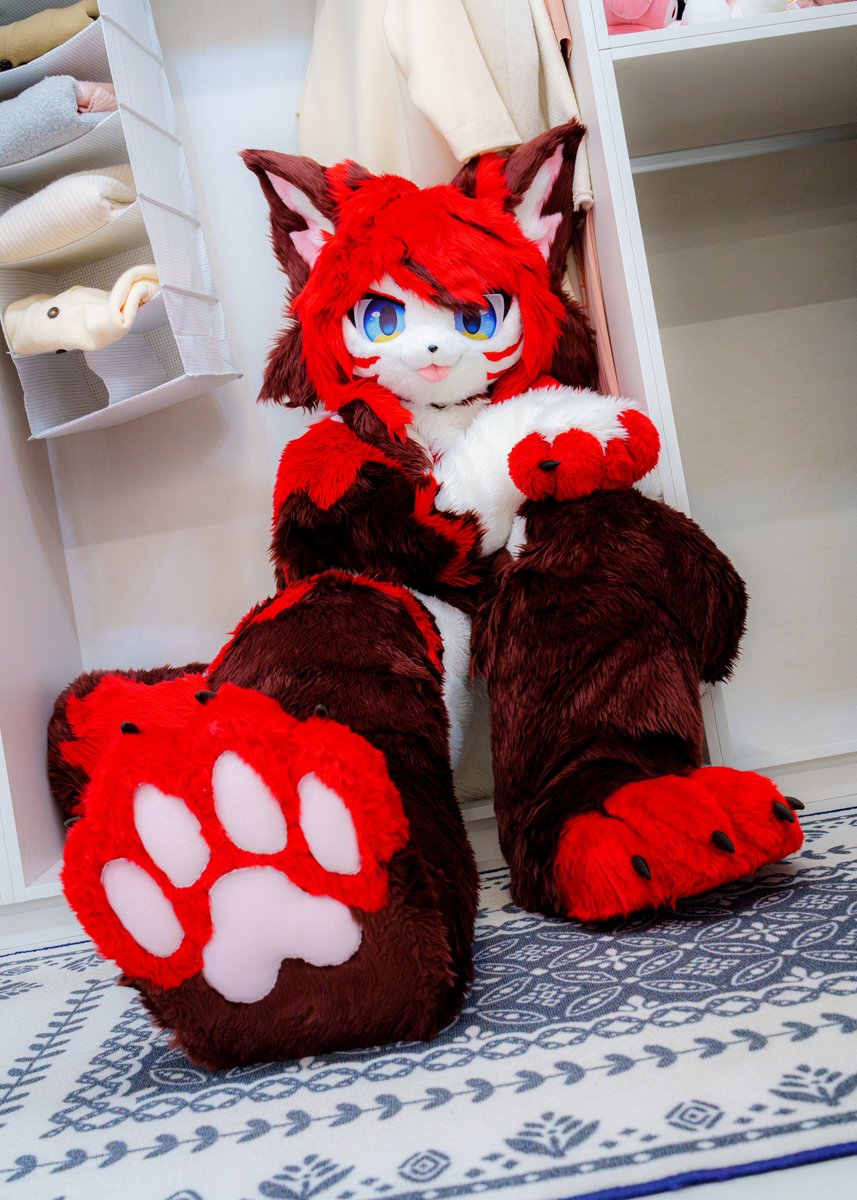 엘리(Elli)🦋 tweet media