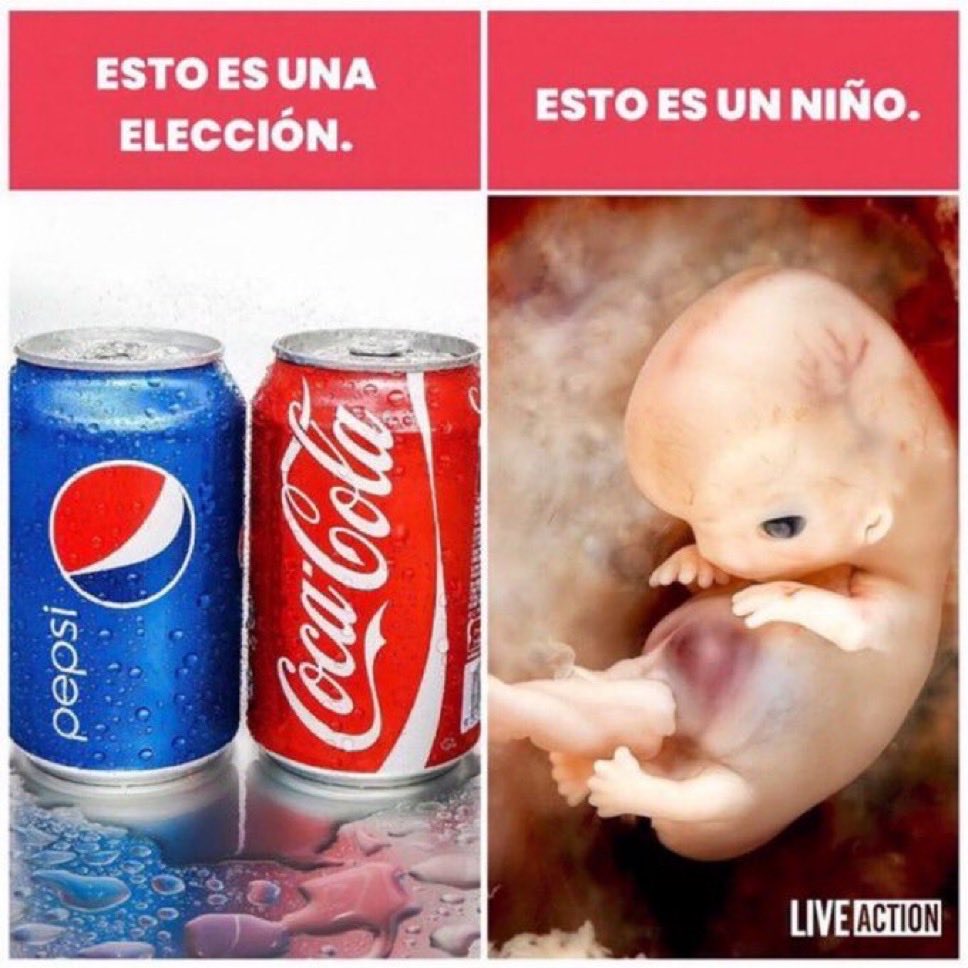 Porlavida tweet media