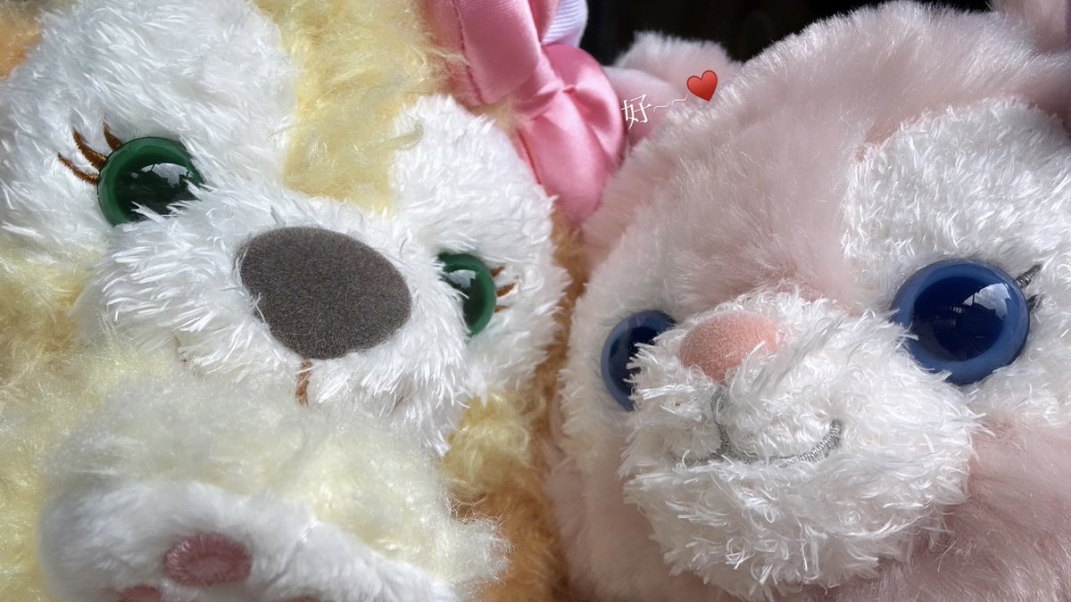 𝟭𝟮𝟳🫐♡ tweet media