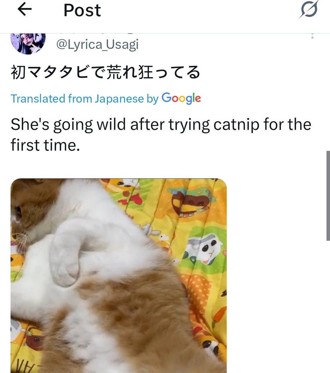 hɨmozɑׁׅ֮🏥 tweet media