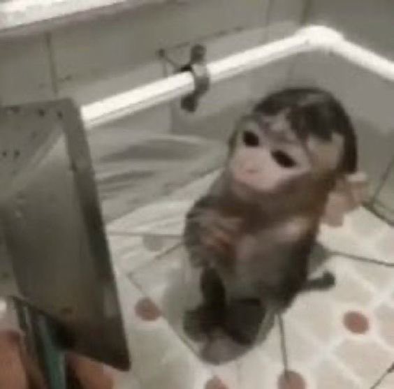 𝒓𝒖𝒏𝒃𝒂𝒆𝒃𝒂𝒆 ♡´(🍋) tweet media