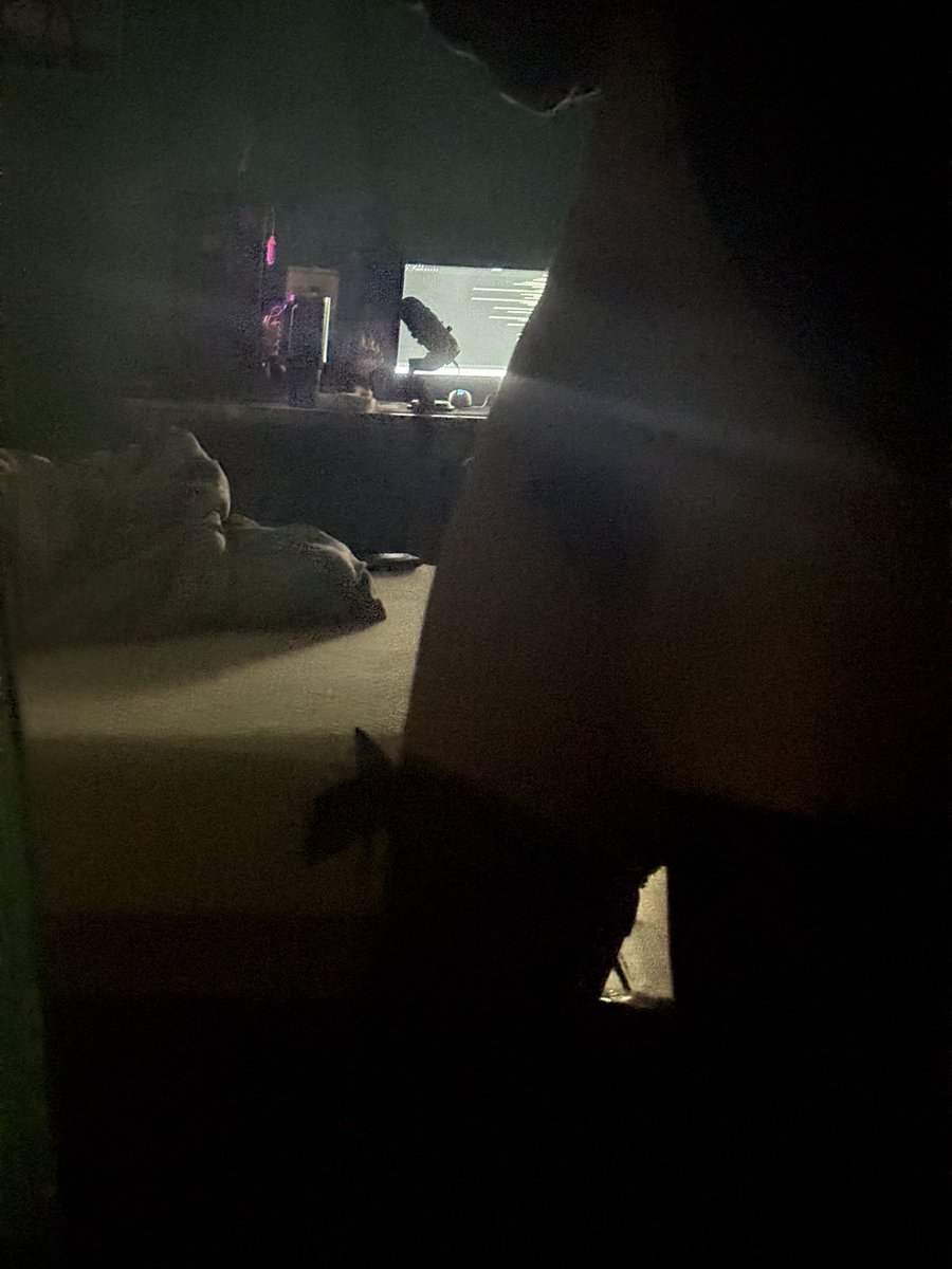 Maple🔞🏳️‍⚧️ tweet media