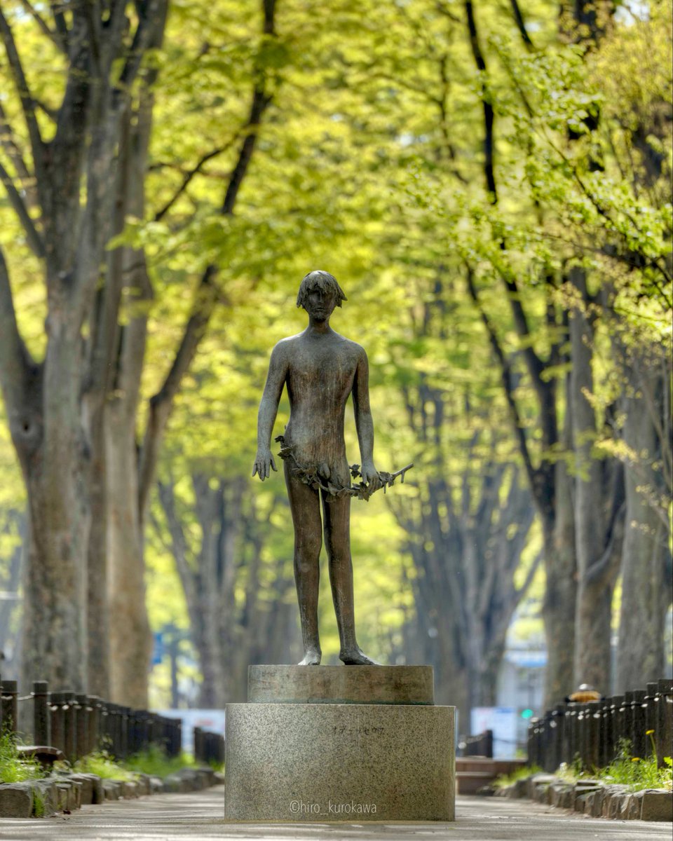 仙台の風景 tweet media