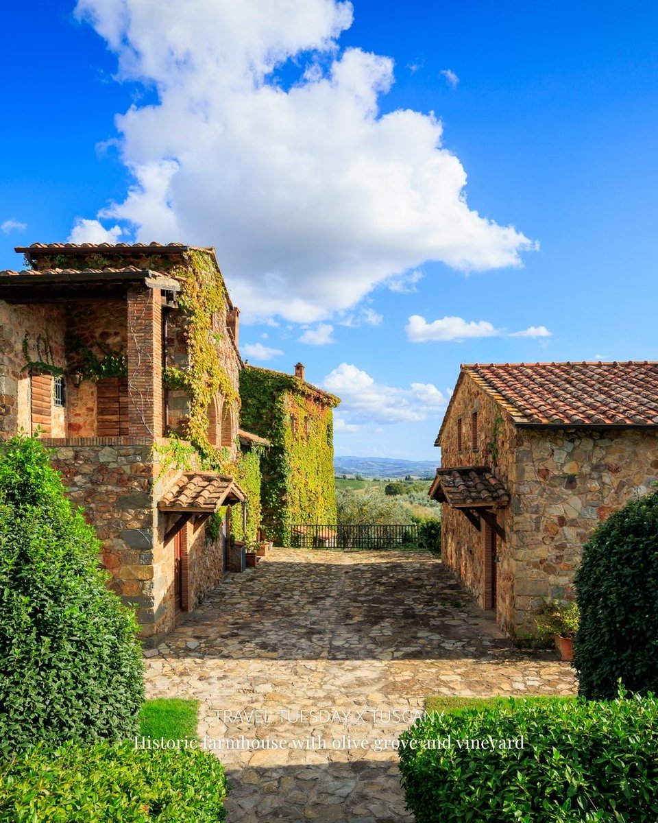 Monte-Carlo Sotheby's Int. Realty tweet media