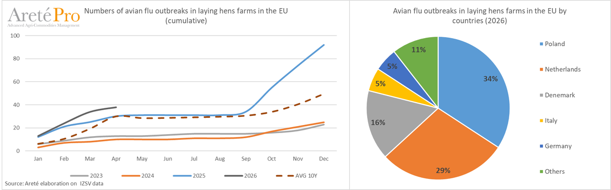 mkt_intl's tweet image. Numbers of avian flu outbreaks in🥚laying hens farms in the EU🇪🇺: 
YTD Jan-Apr '26: 38 (34% in Poland, 29% in Netherlands) 
⬆️+27% vs YTD '25 
⬆️+27% vs YTD avg 10 years 
March '26: 4 
⬇️-20% vs Apr '25 
⬇️-62% vs Apr avg 10 years 
#eggs #avianflu