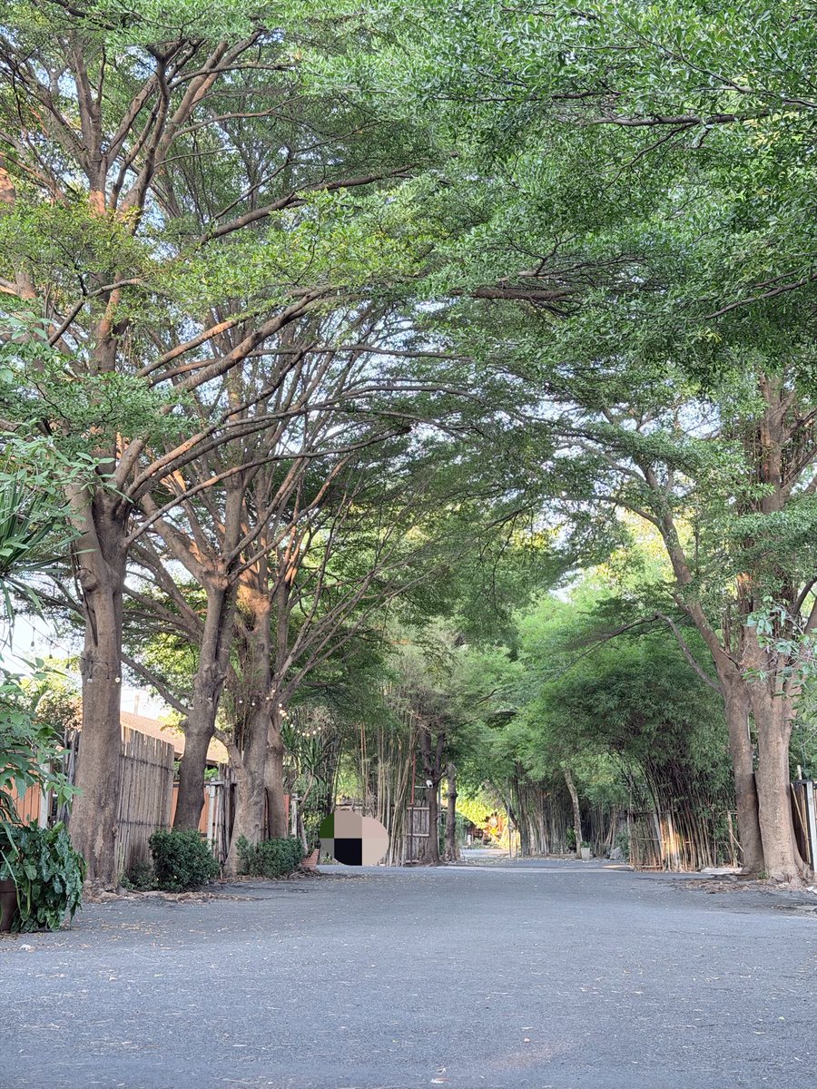 Muaymuaysw✨ tweet media