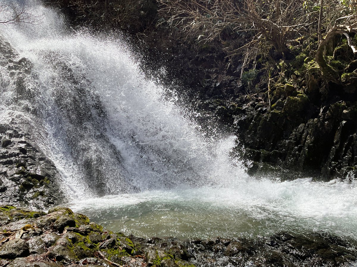 道の駅かづの あんとらあ tweet media