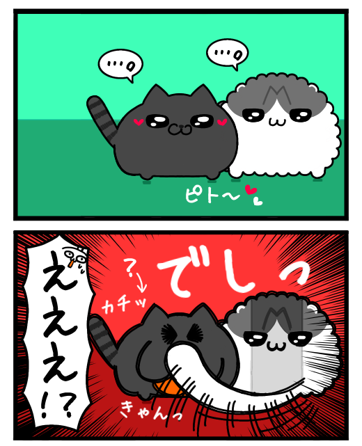 ぽぴぴとねこちゃんズ tweet media