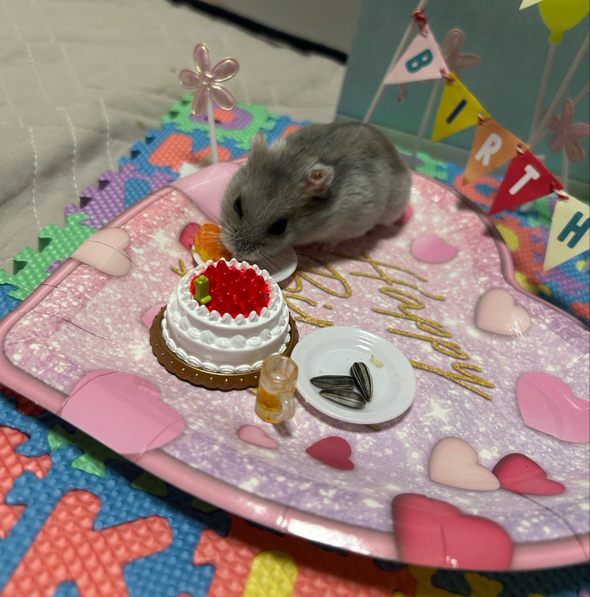 hmhm_marumaru's tweet image. メニューはにんじんケーキ(にんじんの間に離乳食のとうもろこしを挟んで小松菜と野菜フレークをトッピング)、ひまたね、偽物ケーキと偽物ビール🍻　#ハムスター　#hamster