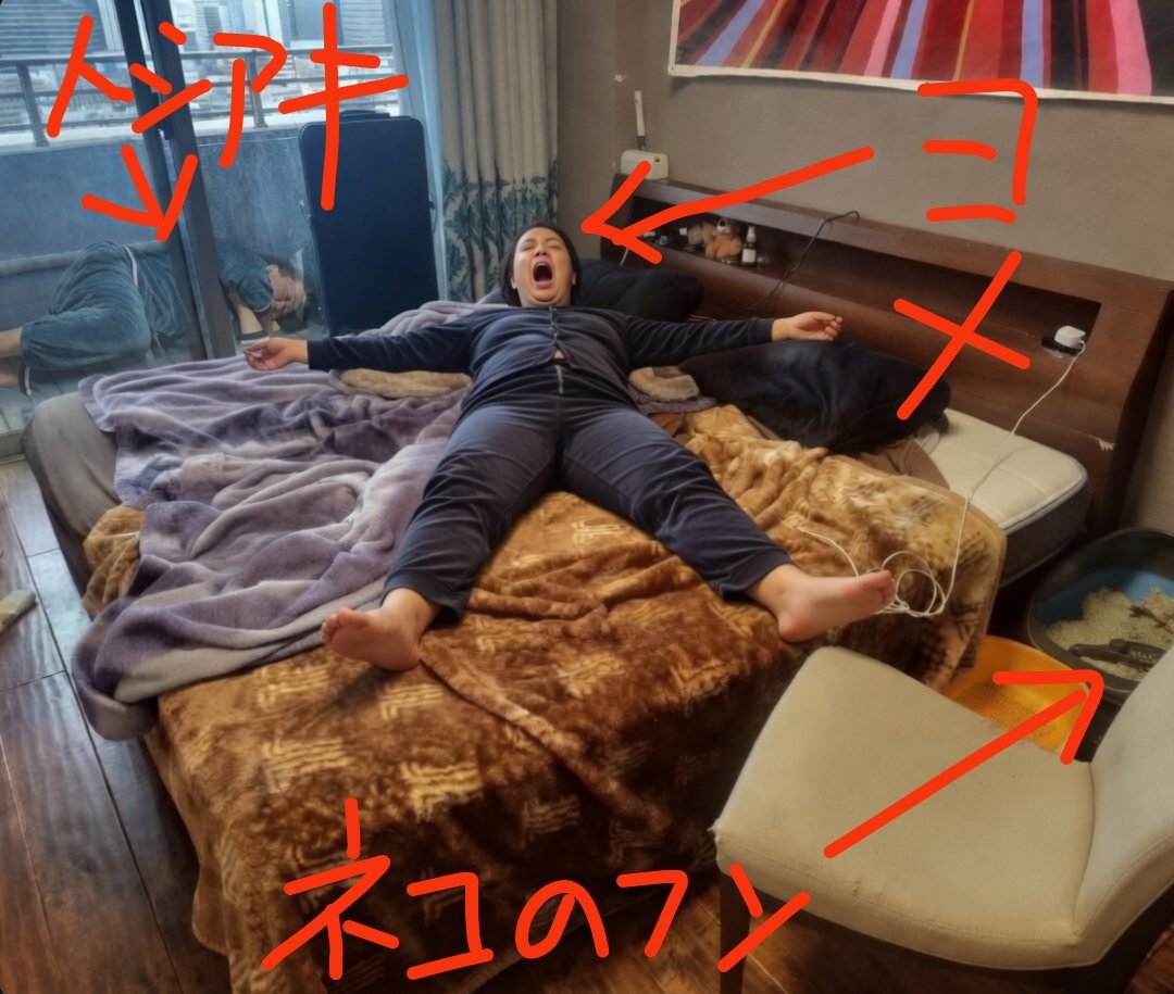 鼻でか豚メガネ tweet media