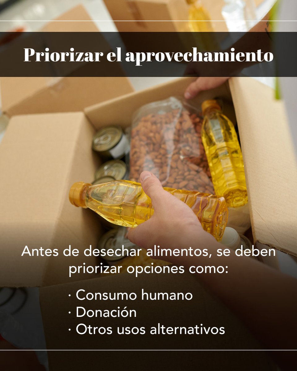 Carnavi | Ávila tweet media