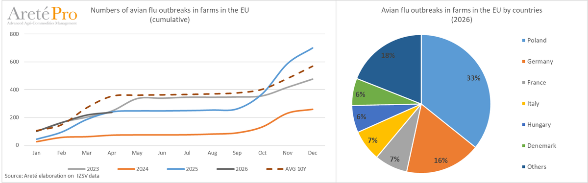 mkt_intl's tweet image. Numbers of avian flu outbreaks in🥚farms in the EU🇪🇺: 
YTD Jan-Apr '26: 237 (33% in Poland, 16% in Germany) 
⬇️-1% vs YTD '25 
⬇️-33% vs YTD avg 10 years 
March '26: 19 
⬇️-65% vs Apr '25 
⬇️-77% vs Apr avg 10 years 
#eggs #avianflu