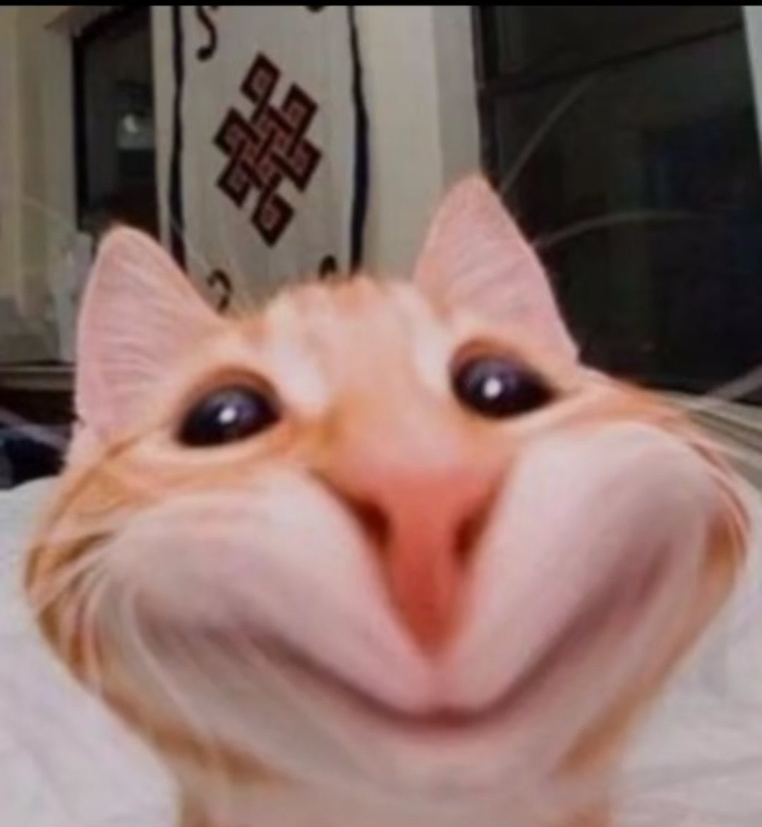 emmaffable's tweet image. Je suis passée à 10mg d’abilify jprends officiellement la mm dose que les bipolaires #achievement