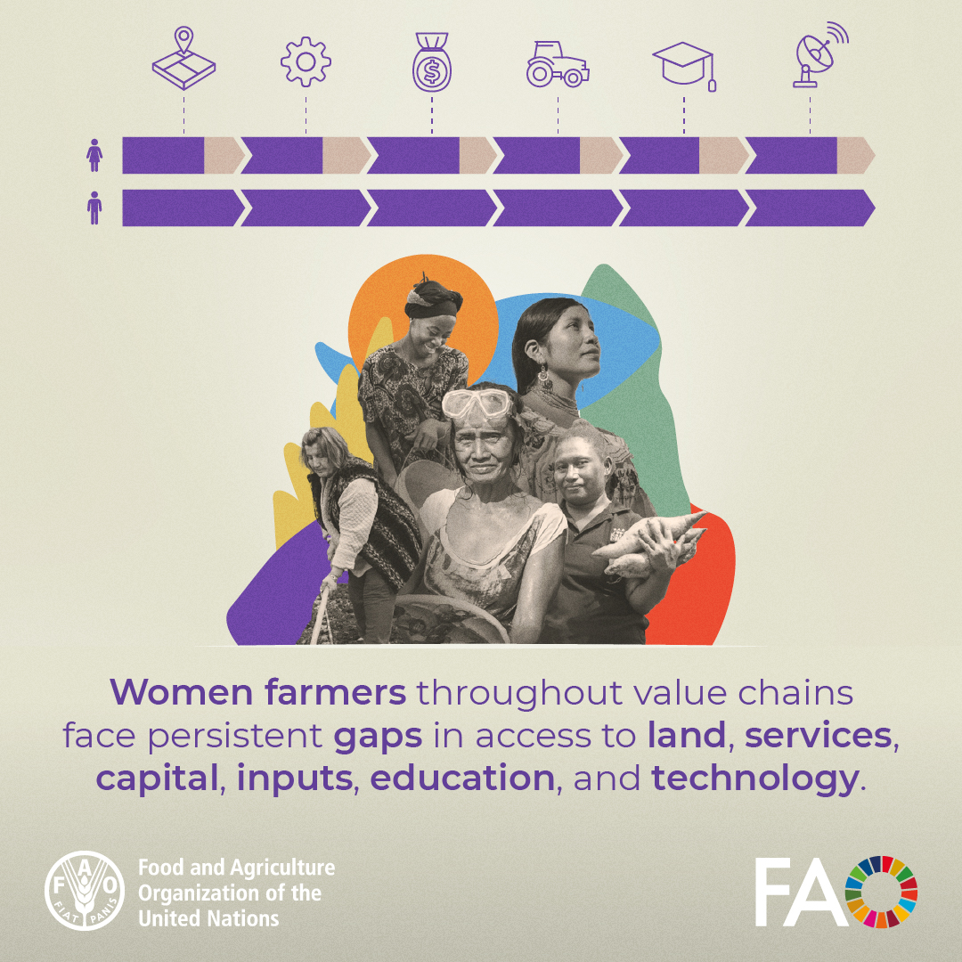 FAO in Lesotho tweet media