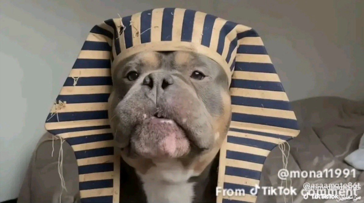 ريان 🇸🇦 tweet media