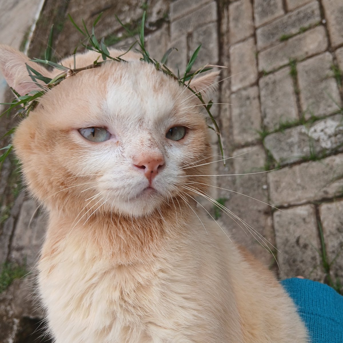 panggil aja ucok tweet media