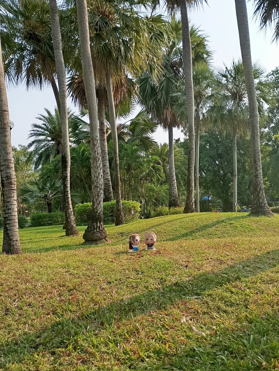 FERGUS🇹🇭 tweet media