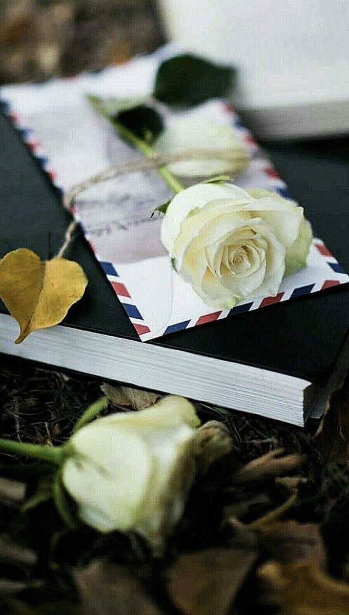 ‏̟ 🇸🇦᷂رمـُـش ᷂حـُـرب ♡ ֵ🇸🇦 tweet media