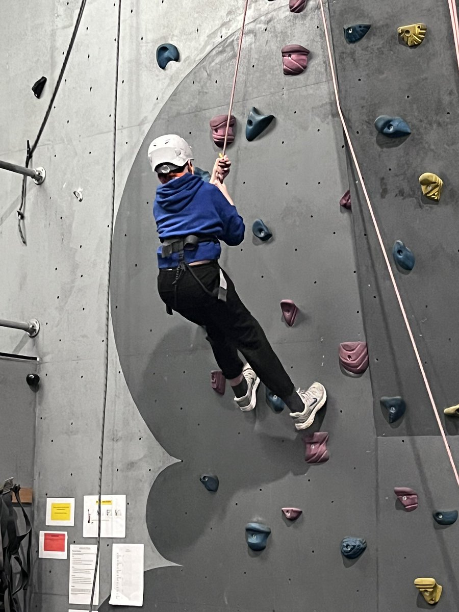 Roundhay Year 4 tweet media