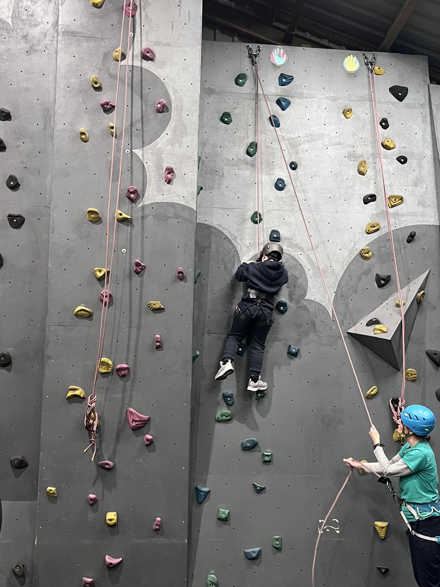 Roundhay Year 4 tweet media