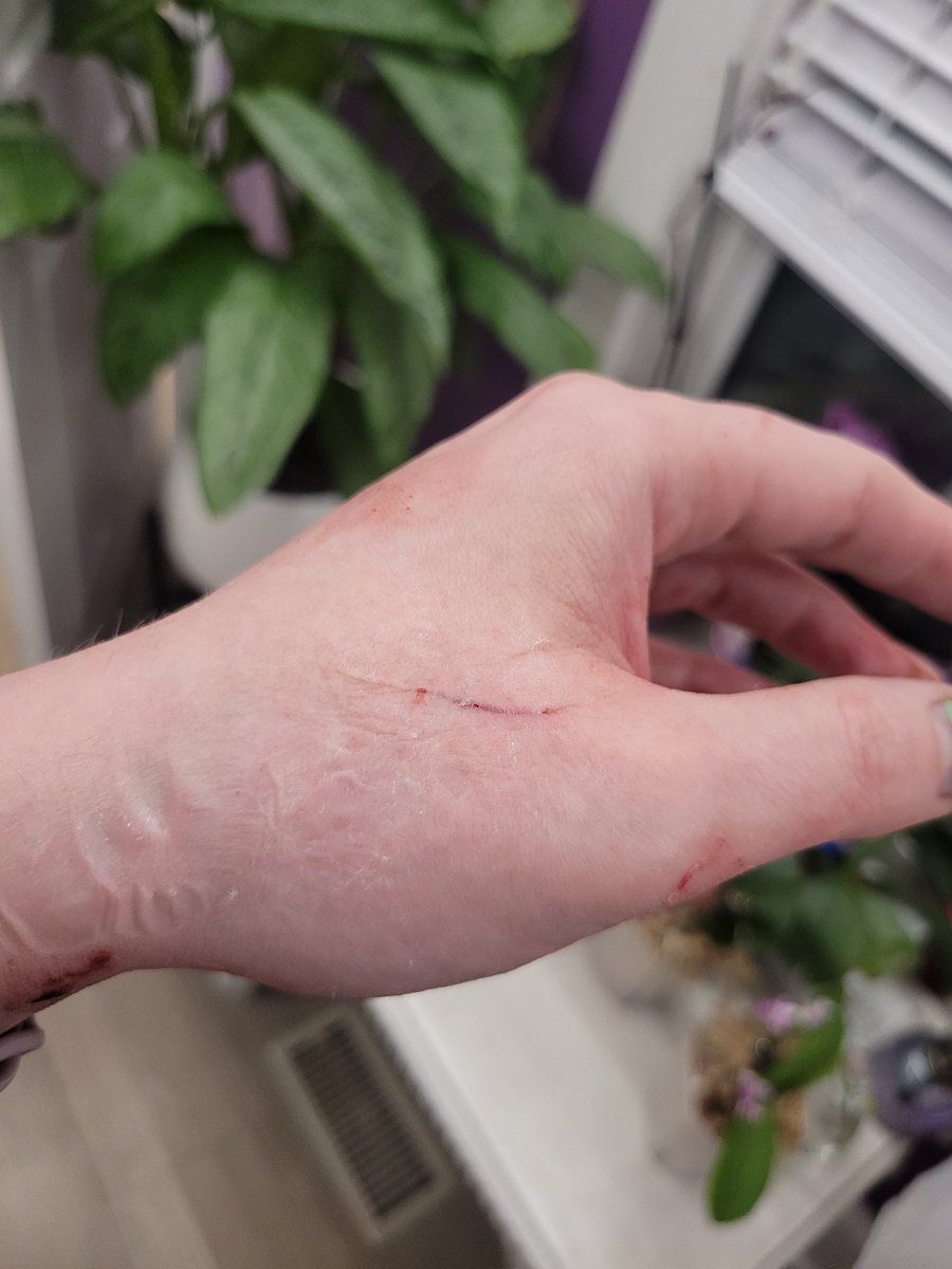 Eva Silvertant ❀ tweet media