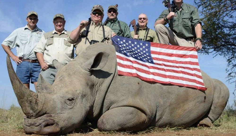 PROTECT ALL WILDLIFE tweet media