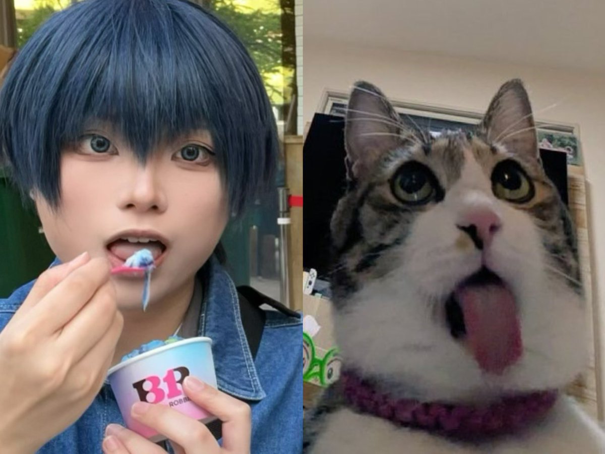 かや tweet media