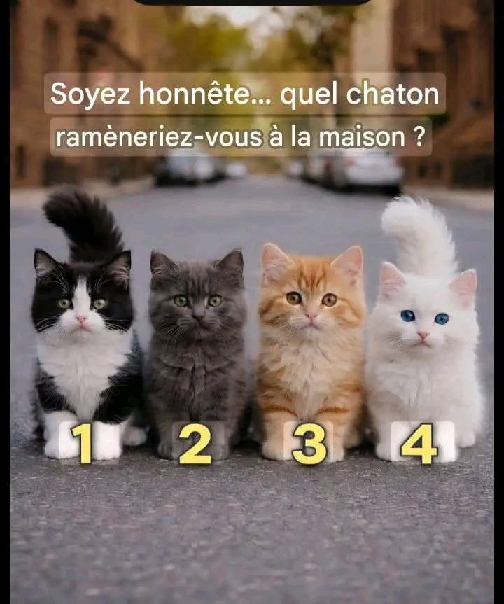 Jacob Shukuru tweet media