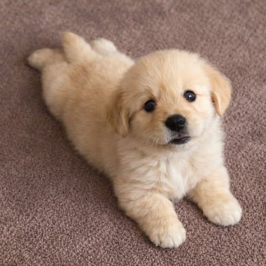 เขื่อนเอง tweet media