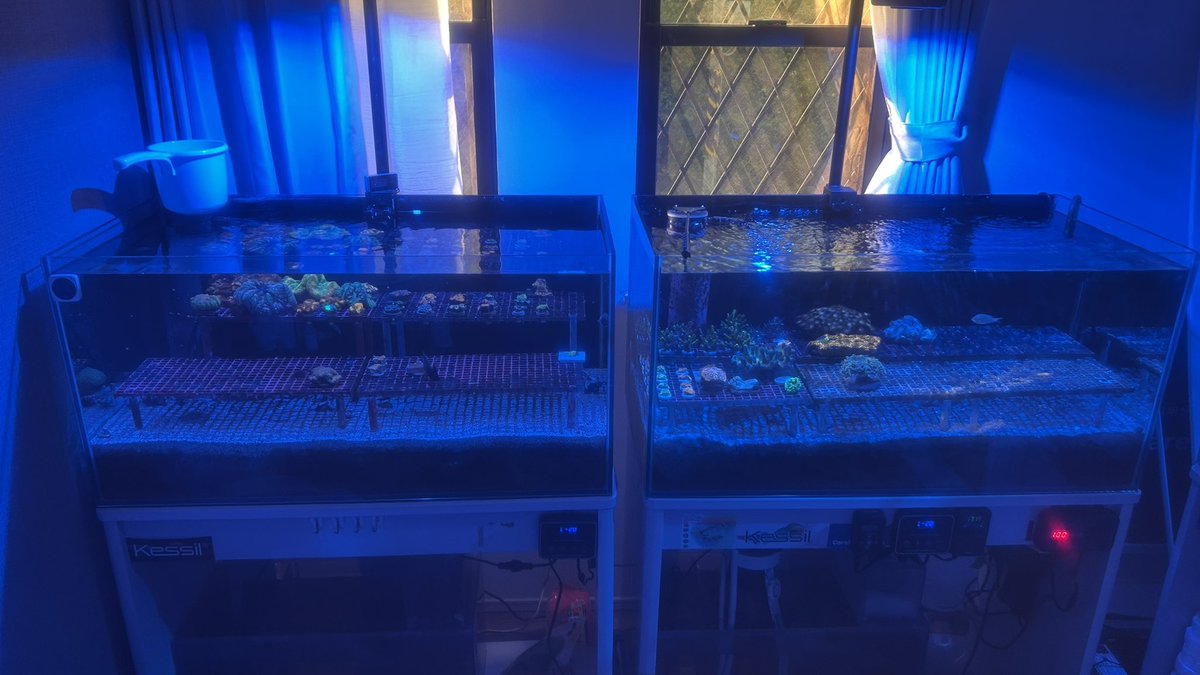 CareFrag tweet media