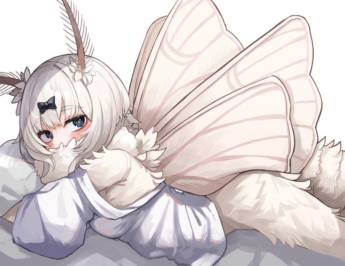 熊野プラン🐻 tweet media