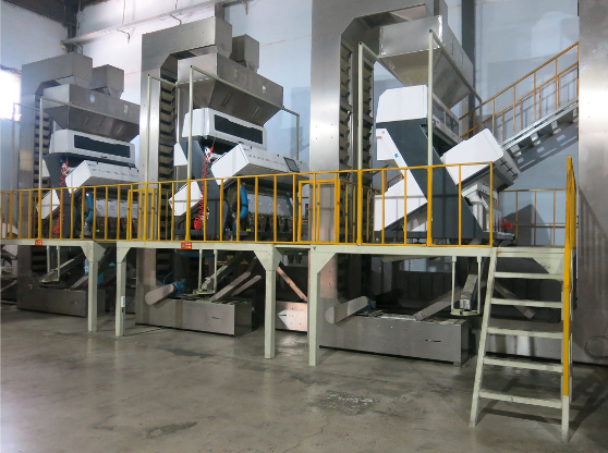 JXY_food's tweet image. Premium shelled &amp;amp; unshelled pumpkin seeds, natural &amp;amp; nutritious, with stable wholesale supply worldwide.
#PumpkinSeeds #Snacks #Baking #Wholesale #HealthyFood
jinxingyuan-food.com