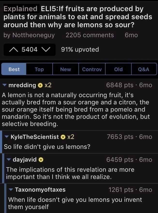 gm to everyone who realizes that, for the most part, once you're an adult, if you're overstocked with lemons, it's because you made them yourself.☕☕😎