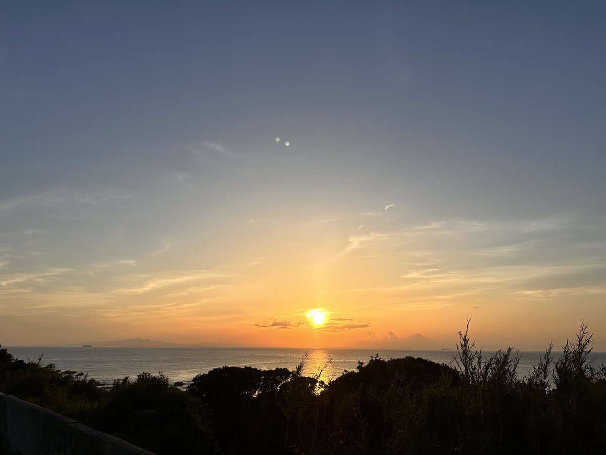 朝日奈 tweet media