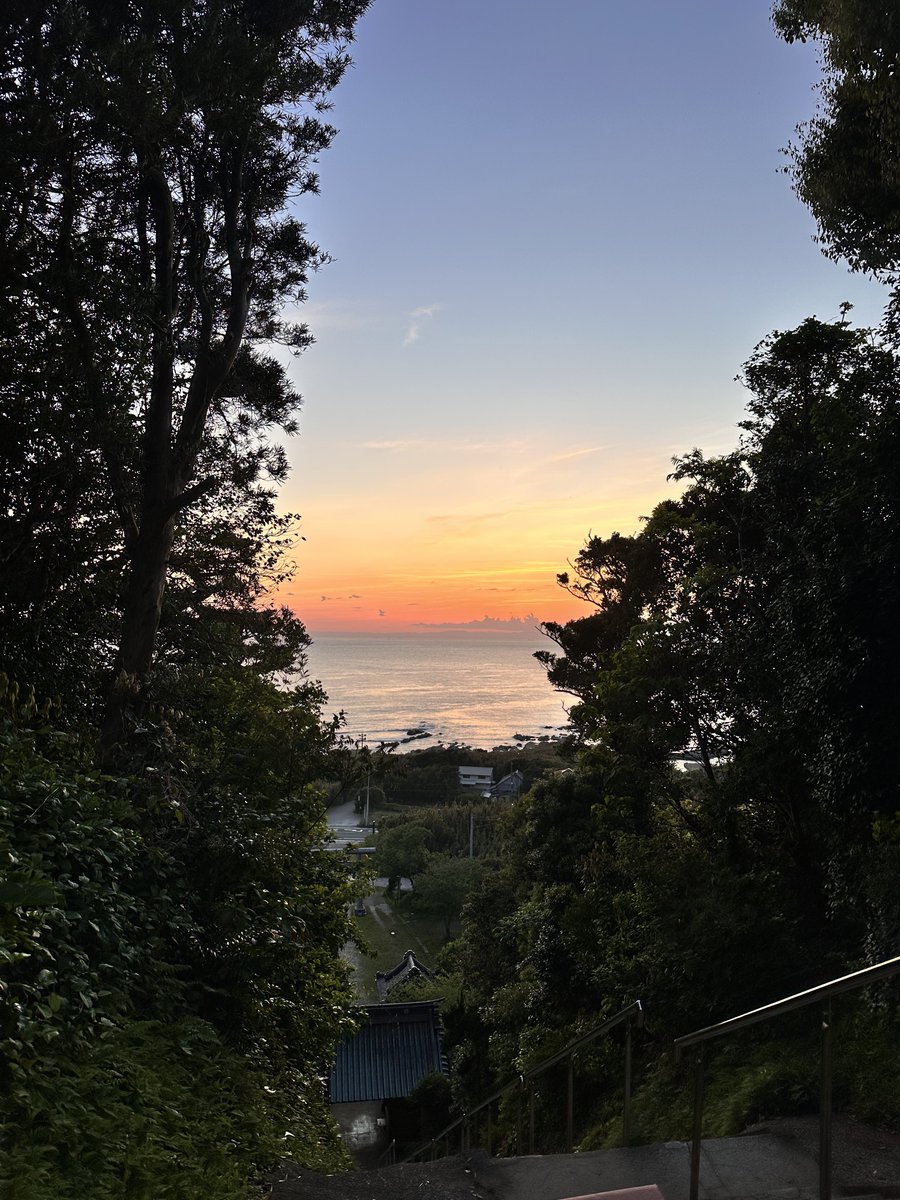 朝日奈 tweet media