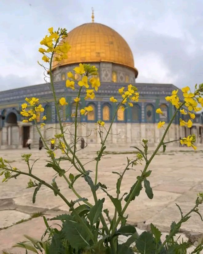 <a href="/jilfjfj3/">.خــOَmَaًrََََْـوَُاطرَ.ََََََََعُـــَمٓر🌿.💙.</a> #صور_حلوه
ما في أجمل وأحلي ,😍 💛