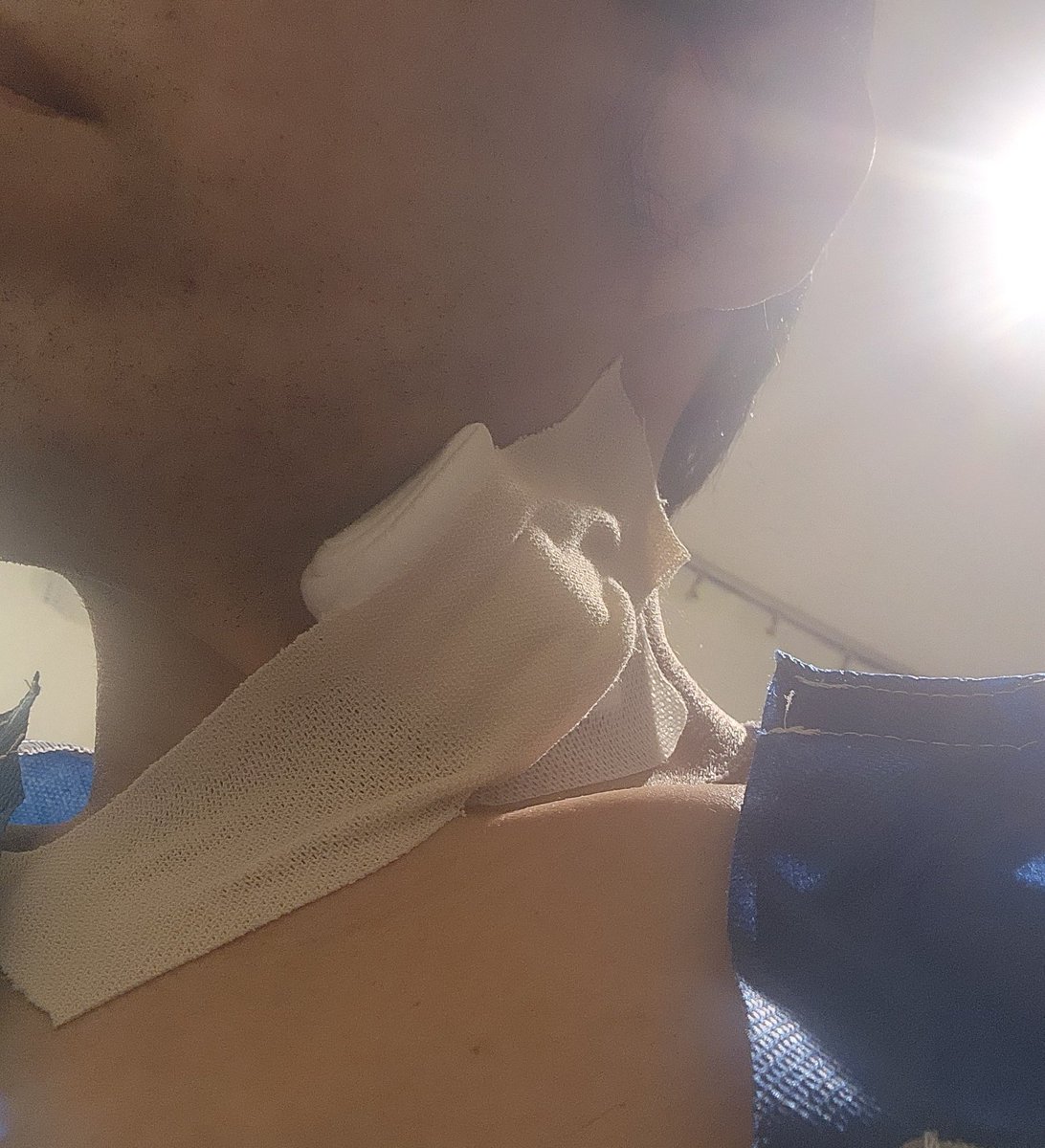 がぶお tweet media