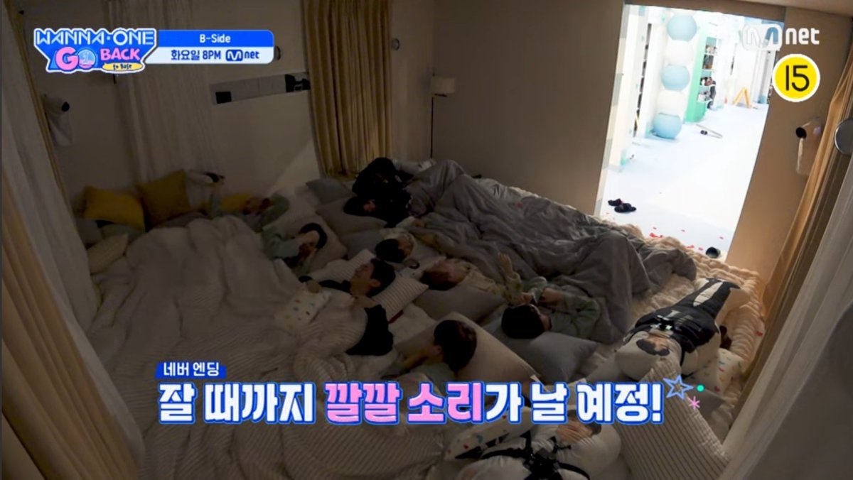 Gin 🐾 tweet media