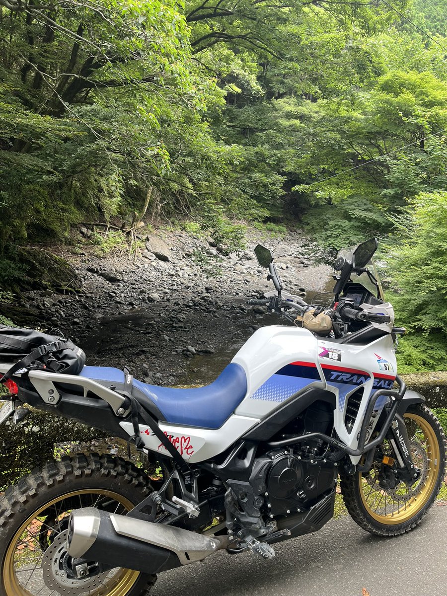 ヨッチン tweet media