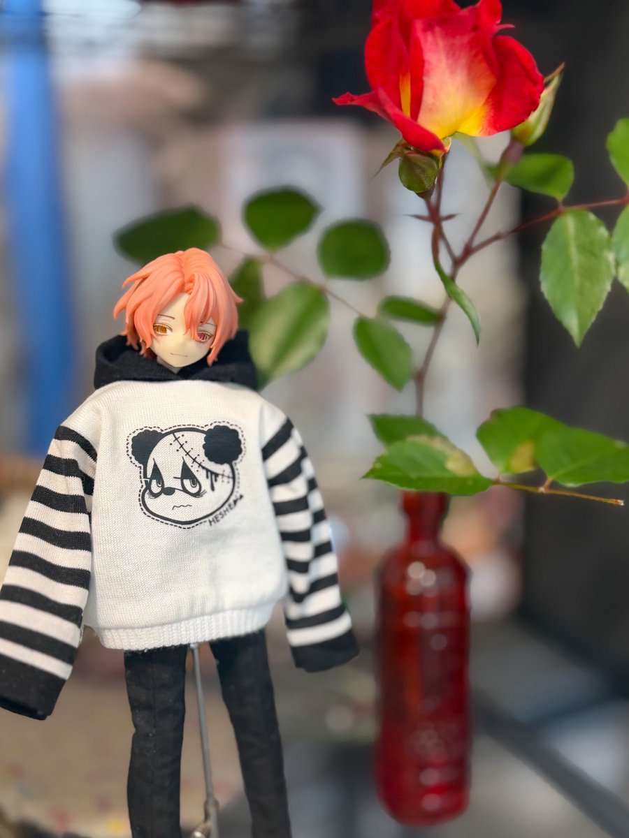 オッドアイくん
お洋服やっと着せれた！萌袖よき…

👕<a href="/HESHE_factory/">mama</a> 
👀<a href="/ToyboxMzgk/">めだまや®</a> 

 #heshe服
#シチリア