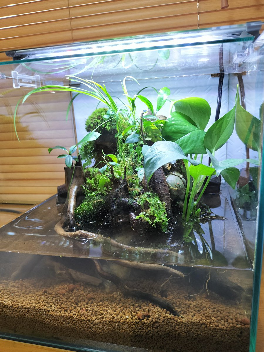 あさぞら△ tweet media