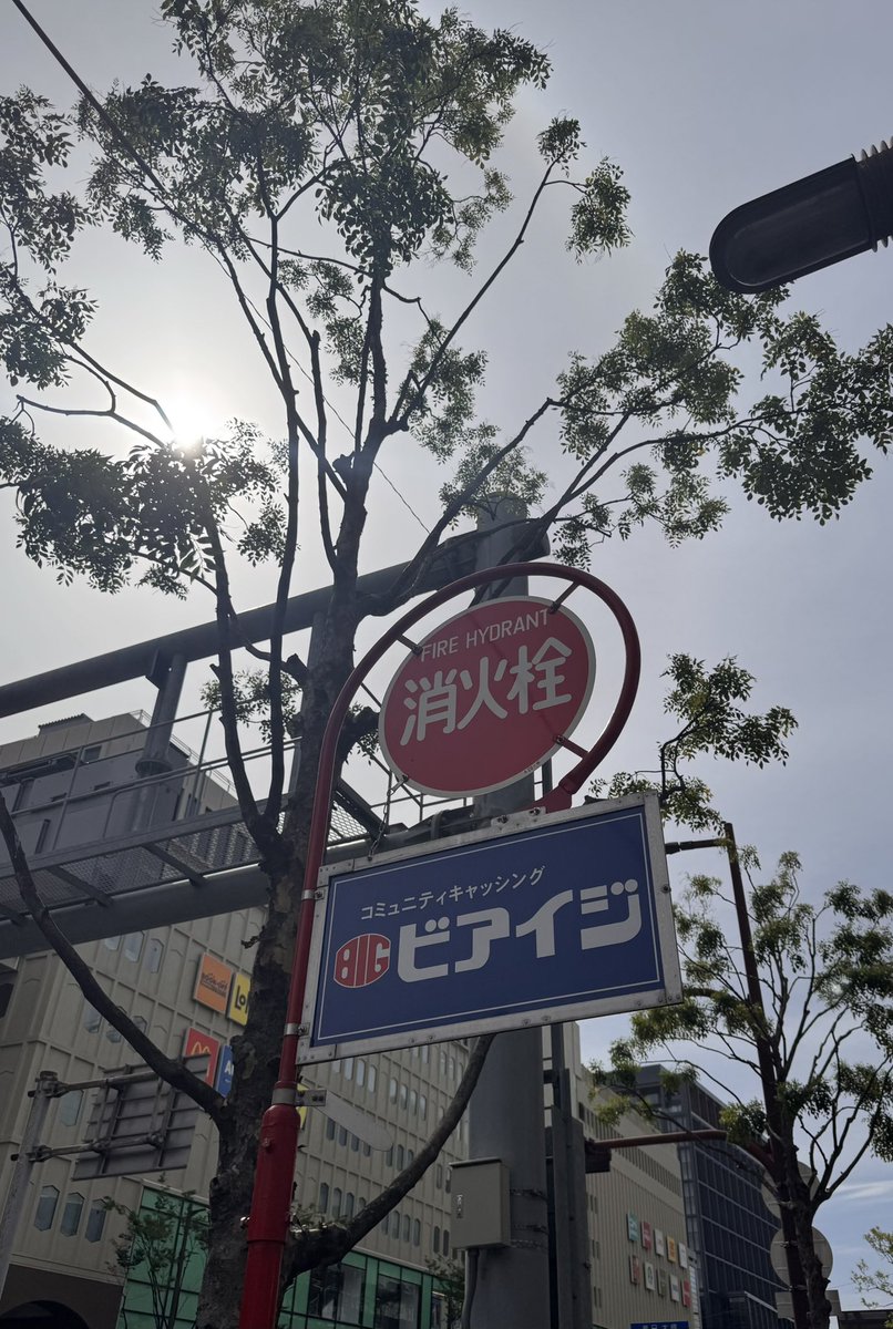 弁護士 尾畠弘典|Hironori OBATA tweet media