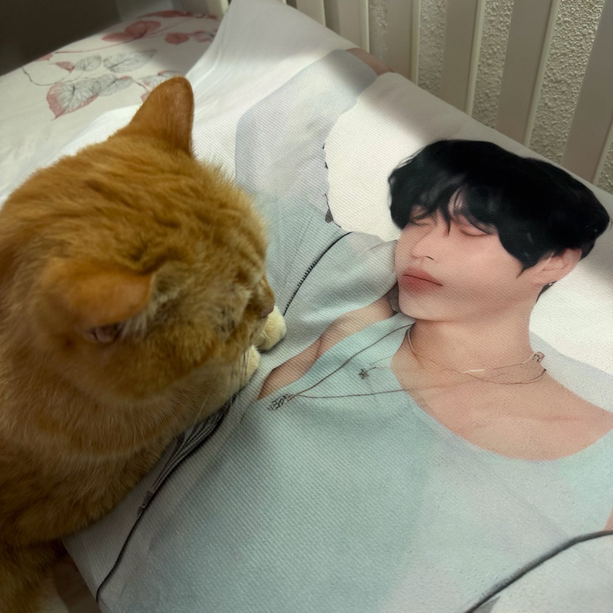 tonyangdeok tweet media