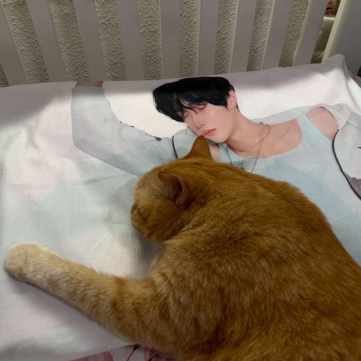 tonyangdeok tweet media