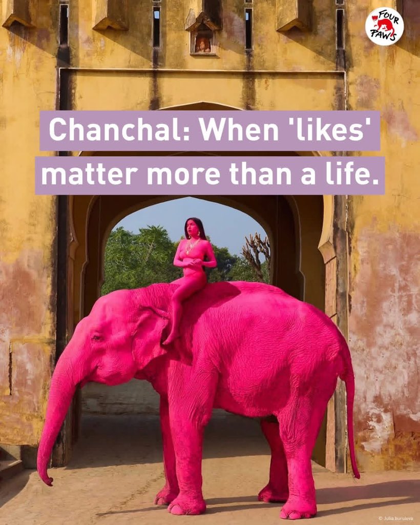 dominic dyer tweet media