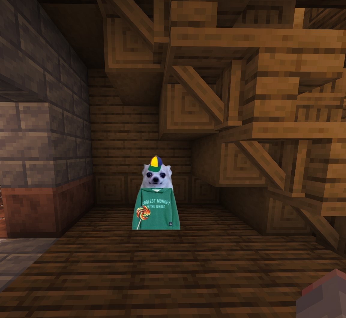 Dormandidi tweet media