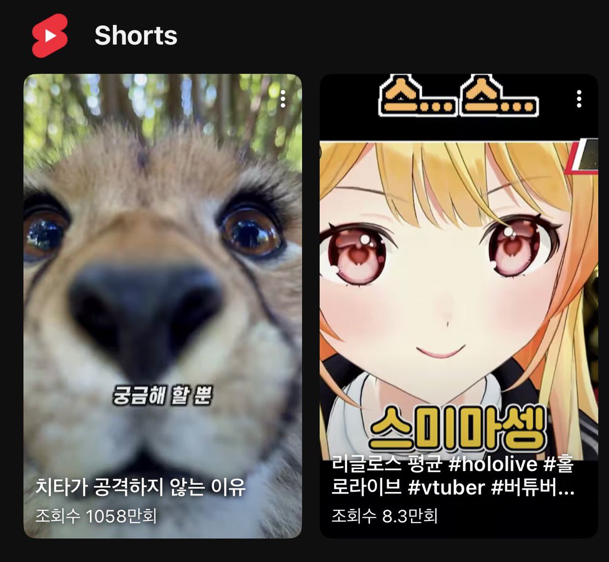 PASUWO(パスウ)_ 🌸🛸💜🎹✨🐚 tweet media